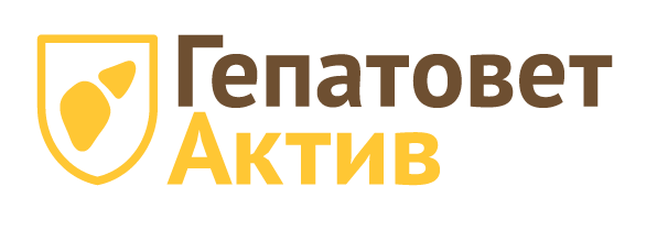 Гепатовет Актив суспензия для орального применения для кошек со шприцем ...