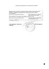 Сертификат Бетасерк таблетки 24 мг 60 шт