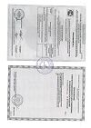 Сертификат Пакет гипотермический для оказания первой помощи Снежок 1 шт