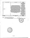 Сертификат Брусники листья фильтр-пакеты 1,5 г 20 шт