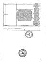 Сертификат Брусники листья фильтр-пакеты 1,5 г 20 шт