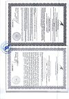 Сертификат Турбослим Дренаж Напиток для стройности капли 100 мл 1 шт