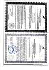 Сертификат Турбослим Дренаж Напиток для стройности капли 100 мл 1 шт