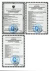Сертификат Термометр инфракрасный 2 в 1 лобный /ушной  B.Well WF 1000 1 шт