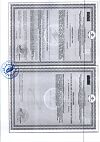 Сертификат Цинк+Витамин С таблетки массой 0,27 г 50 шт