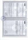 Сертификат Цинк+Витамин С таблетки массой 0,27 г 50 шт