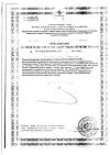 Сертификат Черной смородины сироп на фруктозе 250 мг 1 шт