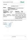 Сертификат Траумель С раствор для в/м и околосуставного введ. 2,2 мл амп инд.уп. 5 шт