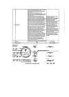 Сертификат Пустырник настойка 25 мл 1 шт