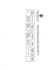 Сертификат Пустырник настойка 25 мл 1 шт
