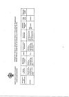 Сертификат Пантогам раствор для приема внутрь 100 мг/мл 100 мл 1 шт