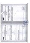 Сертификат Левокарнил таблетки 500 мг массой 1,2 г 30 шт