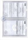 Сертификат Левокарнил таблетки 500 мг массой 1,2 г 30 шт