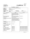 Сертификат АЦЦ Лонг таблетки шипучие 600 мг 20 шт