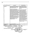 Сертификат Триазавирин капсулы 250 мг 20 шт