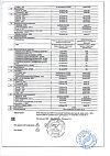 Сертификат Черника Форте Интенсивный комплекс для зрения саше по 1,0 г 30 шт