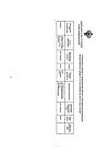 Сертификат Эвкалипт настойка 25 мл 1 шт