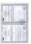 Сертификат Бэби Формула Мишки Мультивитамины жевательные пастилки по 2 г 30 шт