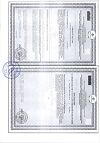 Сертификат Бэби Формула Мишки Мультивитамины жевательные пастилки по 2 г 30 шт