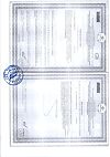 Сертификат Витамин С Эвалар 1200 мг таблетки шипучие массой 3,8 г 10 шт