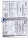 Сертификат Бэби Формула Мишки Кальций жевательные пастилки по 2,5 г 30 шт