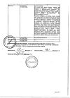 Сертификат Астмасол-СОЛОфарм раствор для ингаляций 0,25 мг/мл+0,5 мг/мл 20 мл 1 шт
