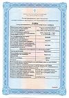 Сертификат Парацетамол таблетки 500 мг 10 шт