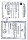 Сертификат Аптечка первой помощи ФЭСТ для оснащения промышленных предприятий футляр-полистирол №7.1 1 шт