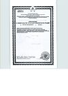 Сертификат PILULI Пустырник драже массой 180 мг 45 шт