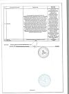 Сертификат Ромашки цветки цветки измельченные пачка 50 г 1 шт