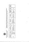 Сертификат Ромашки цветки цветки измельченные пачка 50 г 1 шт