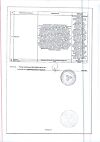Сертификат Пустырник настойка 25 мл 1 шт