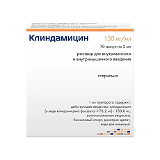 Купить Клиндамицин раствор для в/в и в/м введ. 150 мг/мл 2 мл 10 шт цена