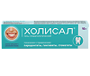 Холисал гель стоматологический 10 г 1 шт