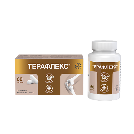 Терафлекс капсулы 500 мг+400 мг 60 шт