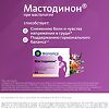 Мастодинон таблетки гомеопатические 60 шт
