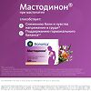 Мастодинон таблетки гомеопатические 120 шт