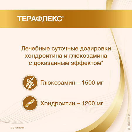Терафлекс капсулы 500 мг+400 мг 100 шт