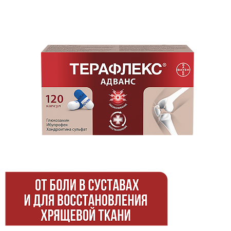 Терафлекс Адванс капсулы 250 мг+100 мг+200 мг 120 шт
