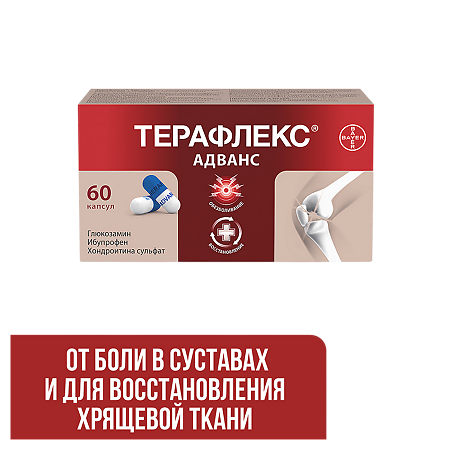 Терафлекс Адванс капсулы 250 мг+100 мг+200 мг 60 шт