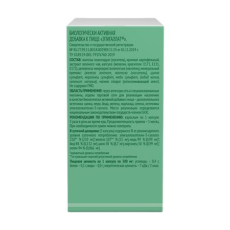 Эпигаллат капсулы по 500 мг 120 шт