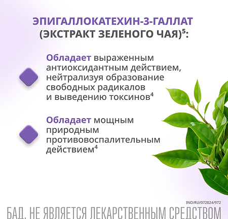 Индинол капсулы по 300 мг 120 шт+Эпигаллат капсулы по 500 мг комплекс 120 шт 1 уп