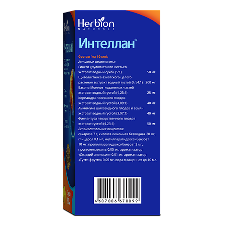 Интеллан сироп 90 мл 1 шт