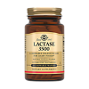 Solgar Лактаза 3500 / Lactase 3500 Chewable Wafers жевательные таблетки массой 1000 мг / 1075 мг 30 шт