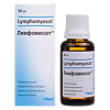 Лимфомиозот капли для приема внутрь 30 мл