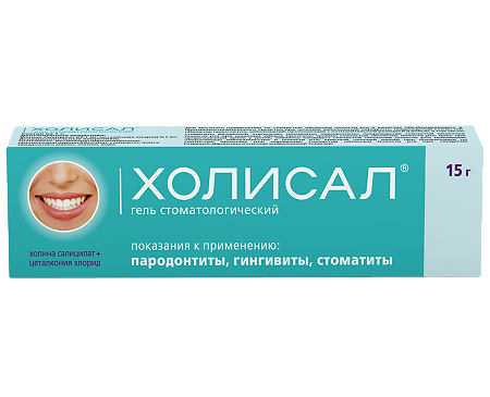 Холисал гель стоматологический 15 г 1 шт