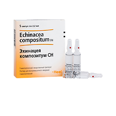 Купить Эхинацея композитум СН цена