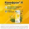 Канефрон Н раствор для приема внутрь 100 мл 1 шт