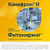 Канефрон Н капли для приема внутрь 100 мл 1 шт