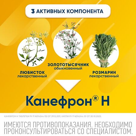 Канефрон Н раствор для приема внутрь 100 мл 1 шт